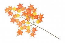 Gałązka dekoracyjna liście