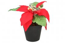 Kwiat sztuczny w doniczce poisencja 22cm