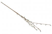 Gałązka dekoracyjna bazie 76cm
