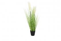 Trawa w doniczce 60cm