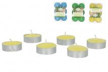 Kpl Świeczka tealight citronella 6szt