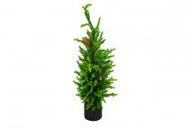 Drzewo sztuczne w doniczce 100cm